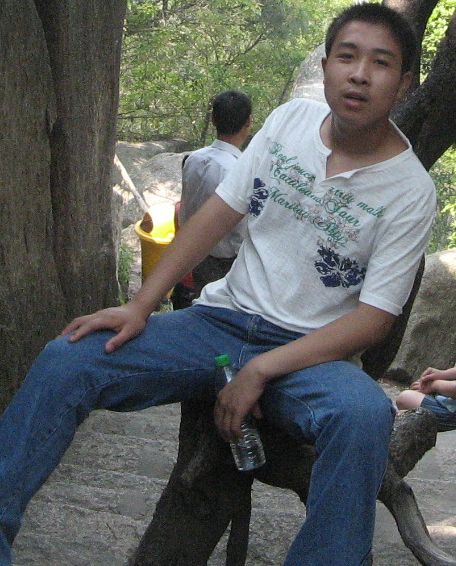 红杏